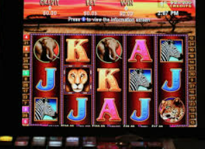 威廉体育客户端